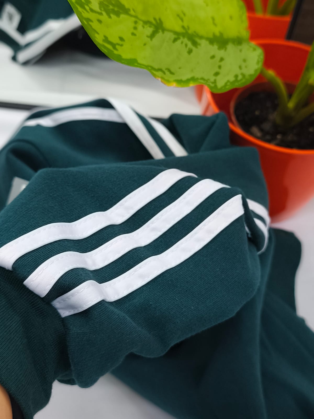 Buzo Algodón Masculino - Image 6